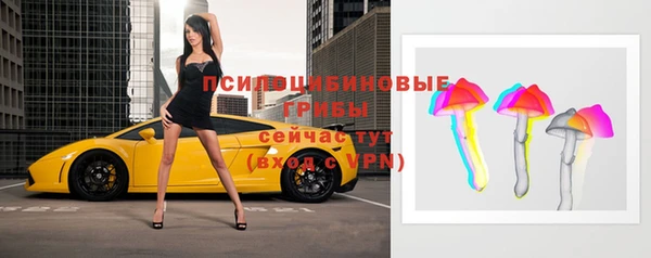 молекула духа Алексин