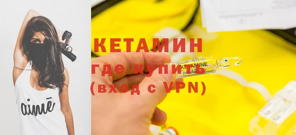 шишки Абаза