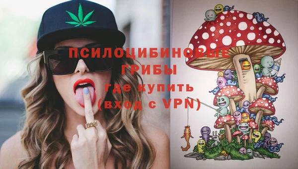 молекула духа Алексин