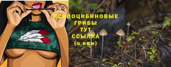 дживик Алексеевка